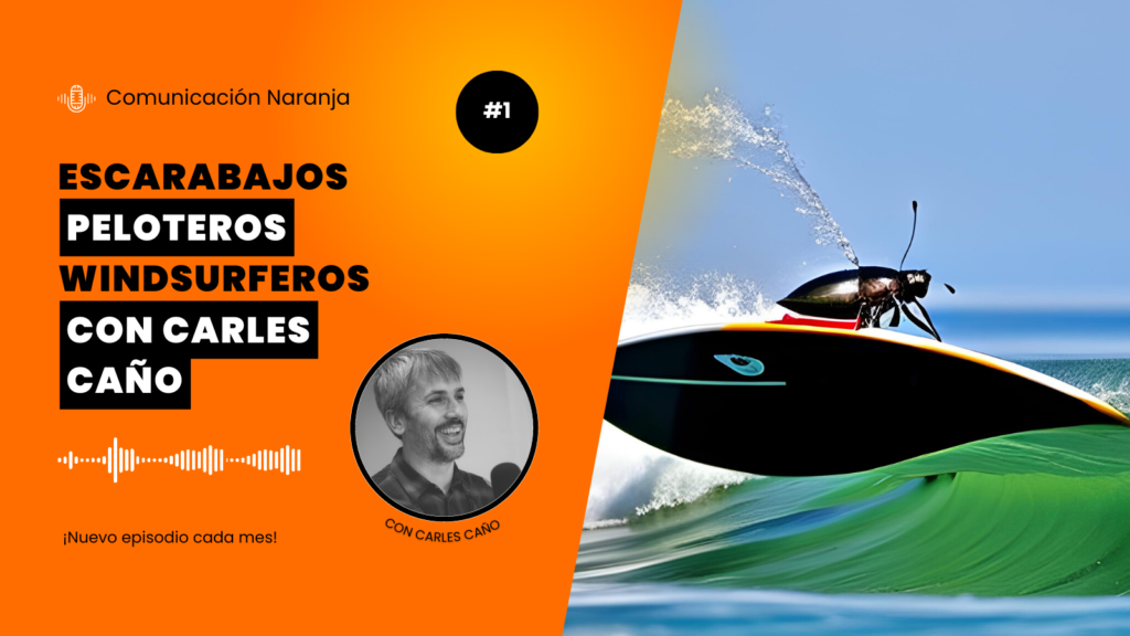 Comunicación Naranja Episodio 1 Escarabajos peloteros windsurferos con Carles Caño